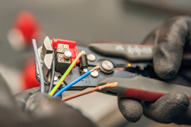 Best Electric Panel Repair  in Gladeville, TN